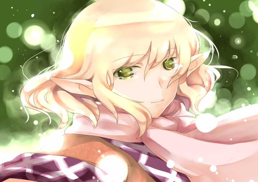 mizuhashi parsee (touhou) drawn by atoki