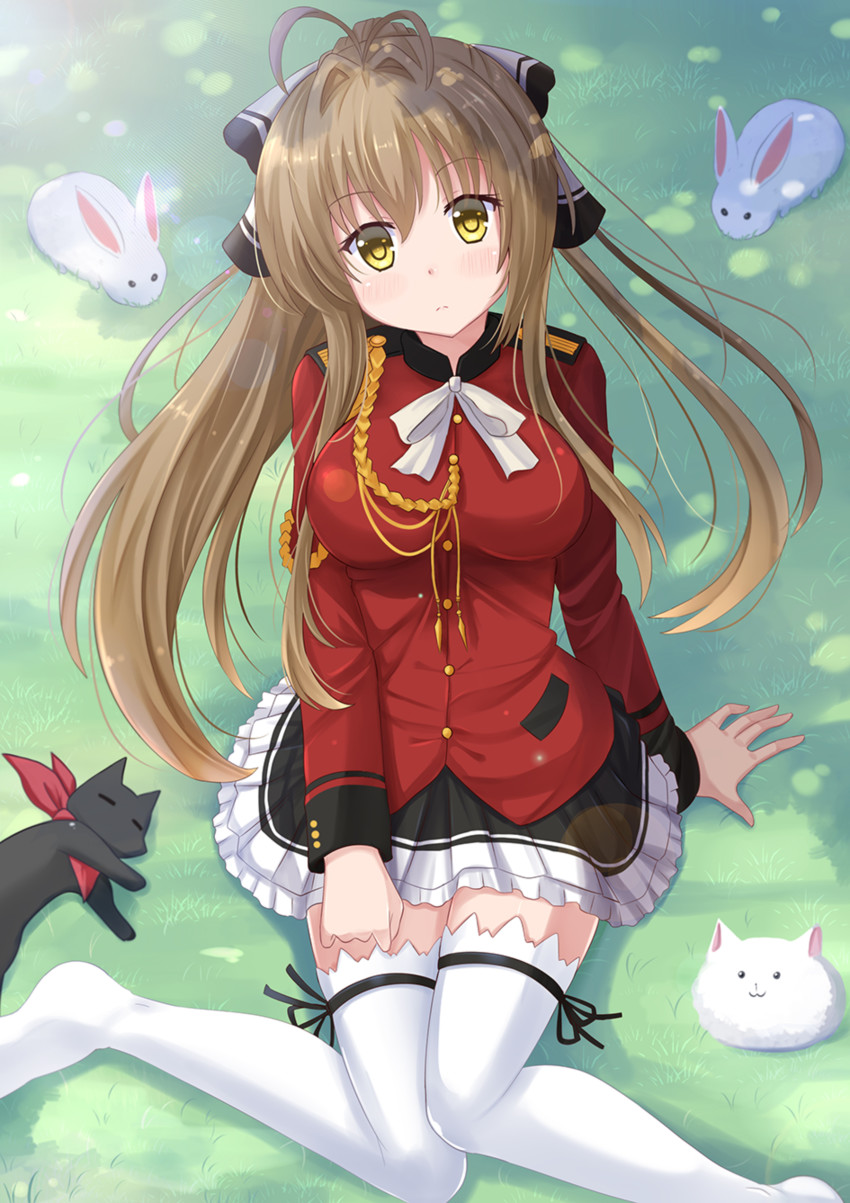 tippy, sento isuzu, and sakamoto (gochuumon wa usagi desu ka? and 3 more) drawn by kazenokaze