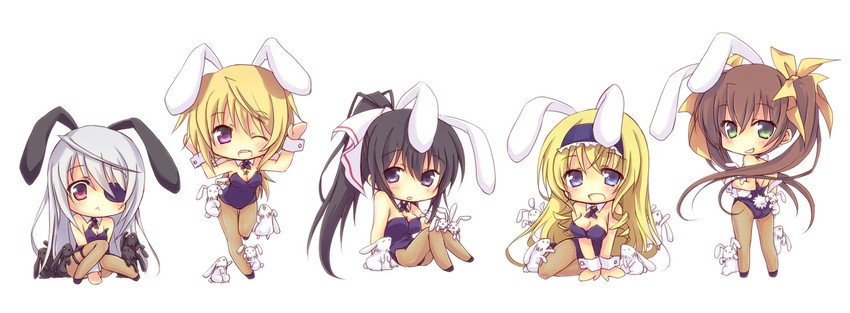 charlotte dunois, cecilia alcott, laura bodewig, shinonono houki, and huang lingyin (infinite stratos) drawn by miyata_(miyatami07)