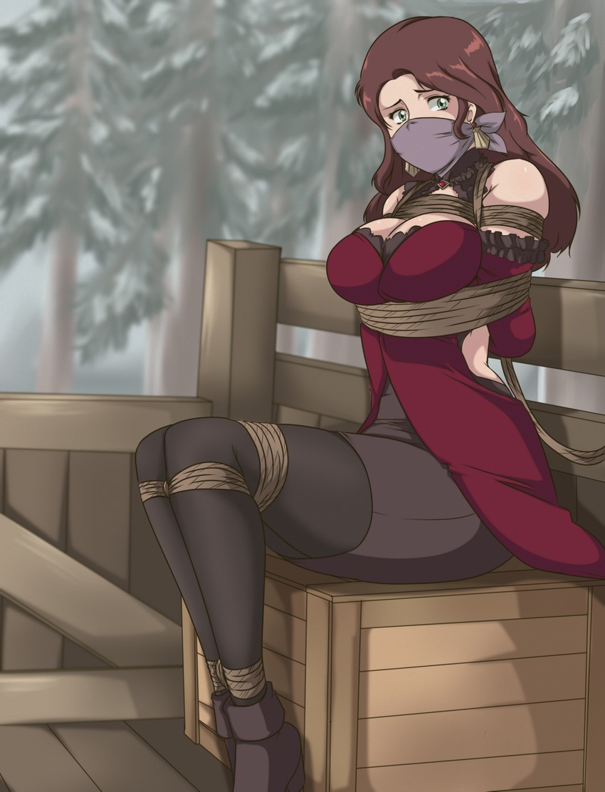 dorothea arnault (fire emblem and 3 more) drawn by ryner-e