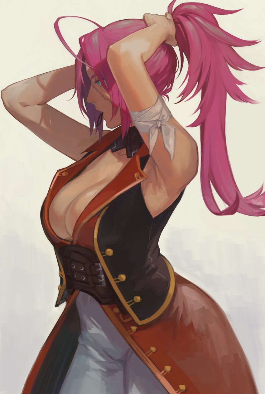 francis drake (fate and 2 more) drawn by washida