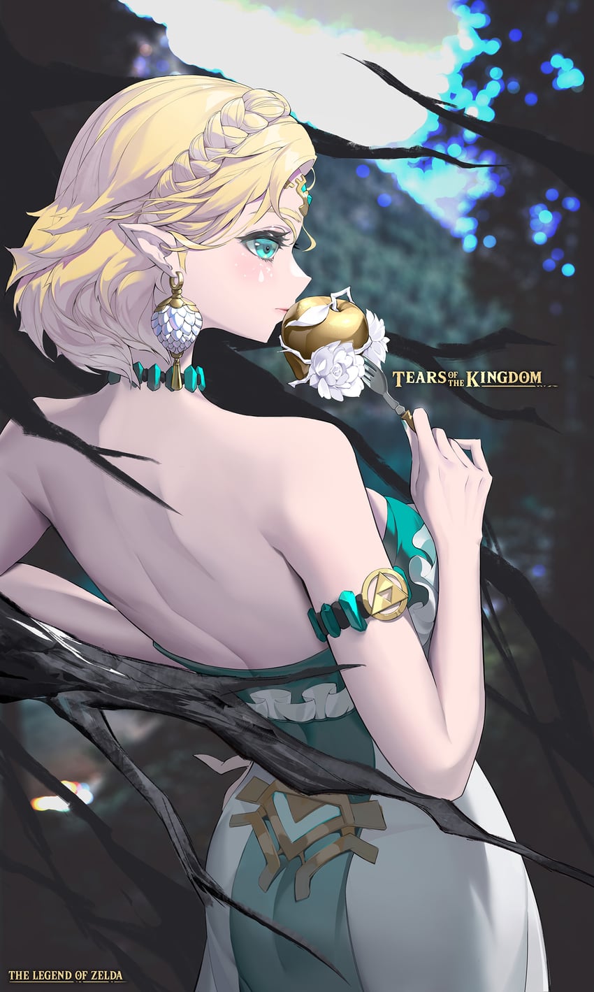 princess zelda (the legend of zelda and 1 more) drawn by ananbro