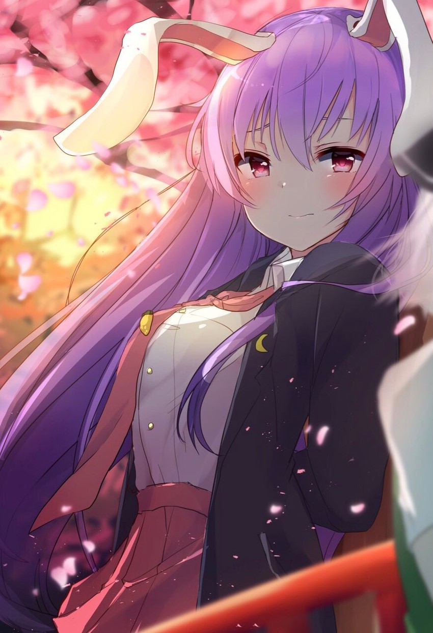 konpaku youmu and reisen udongein inaba (touhou) drawn by karasusou_nano