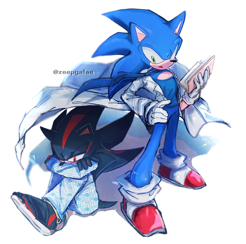 sonic the hedgehog and shadow the hedgehog (sonic) drawn by shapam_(zeepgalae)