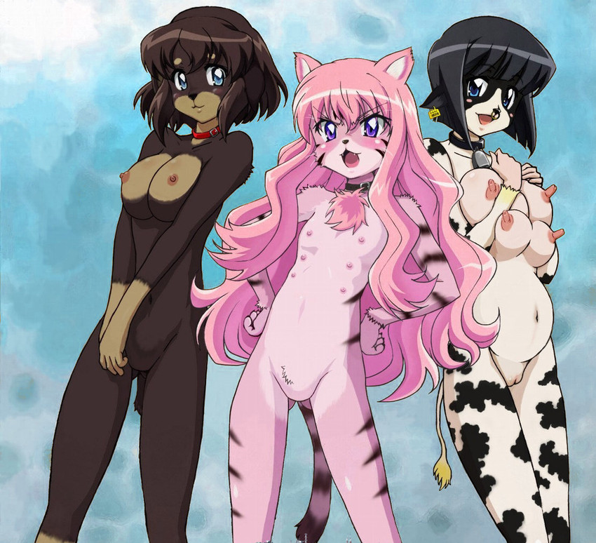louise francoise le blanc de la valliere, siesta, and henrietta de tristain (zero no tsukaima) drawn by fujii_masahiro