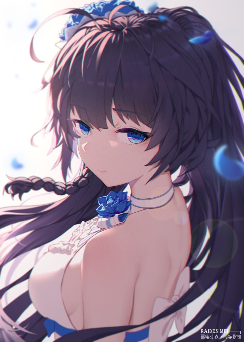 raiden mei (honkai and 1 more) drawn by hbb
