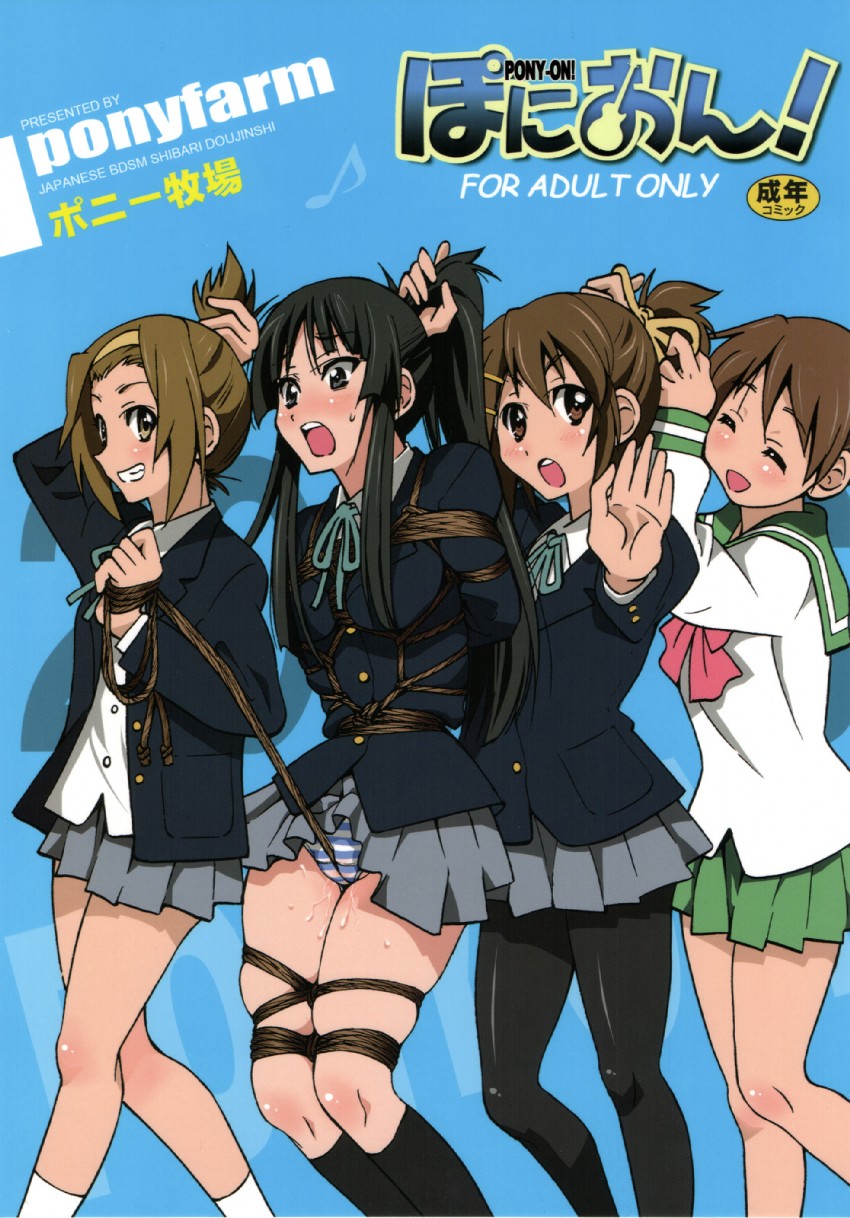 akiyama mio, hirasawa yui, tainaka ritsu, and hirasawa ui (k-on!) drawn by inoue_yoshihisa