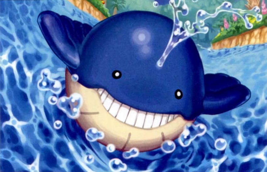 wailmer (pokemon and 1 more) drawn by kusajima_hajime