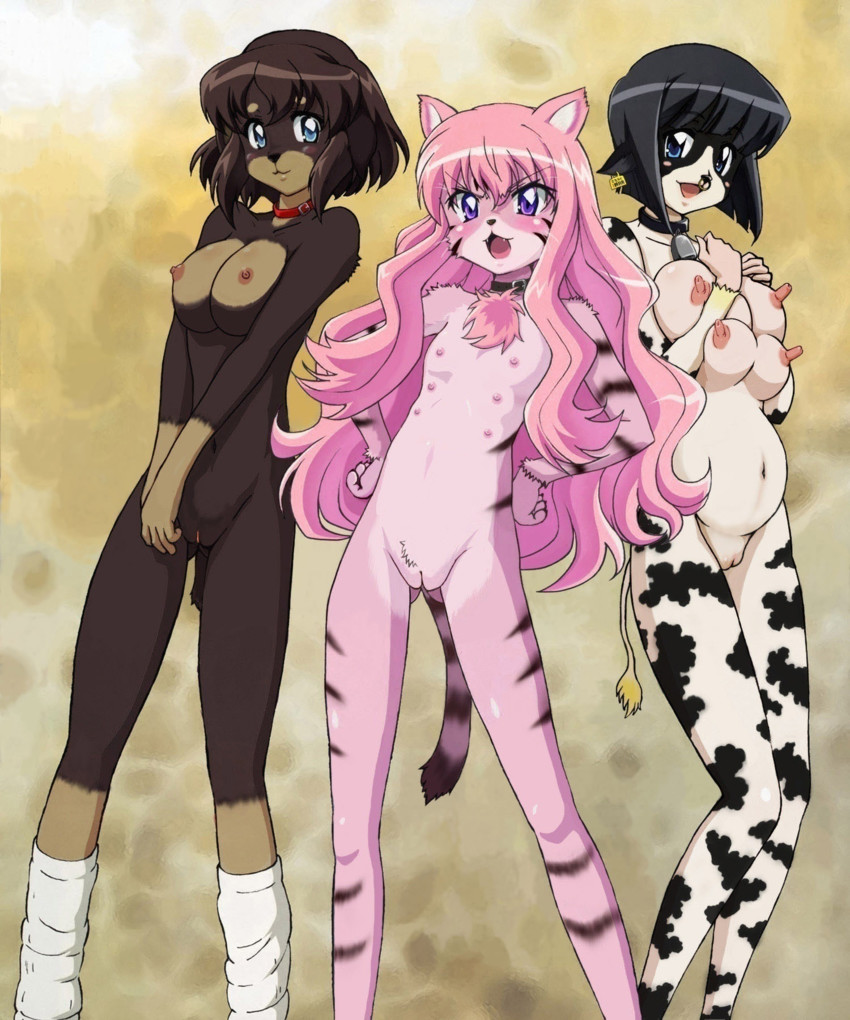 louise francoise le blanc de la valliere, siesta, and henrietta de tristain (zero no tsukaima) drawn by fujii_masahiro