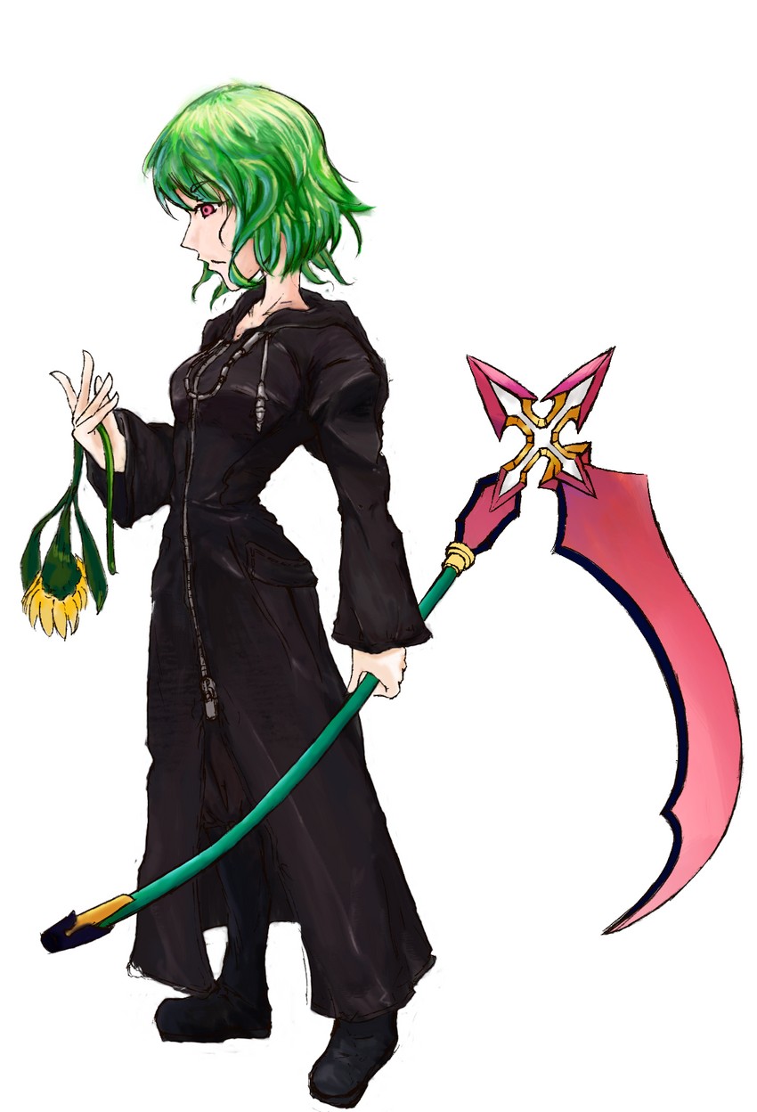 kazami yuuka and marluxia (touhou and 1 more) drawn by suisuisuicaacaa