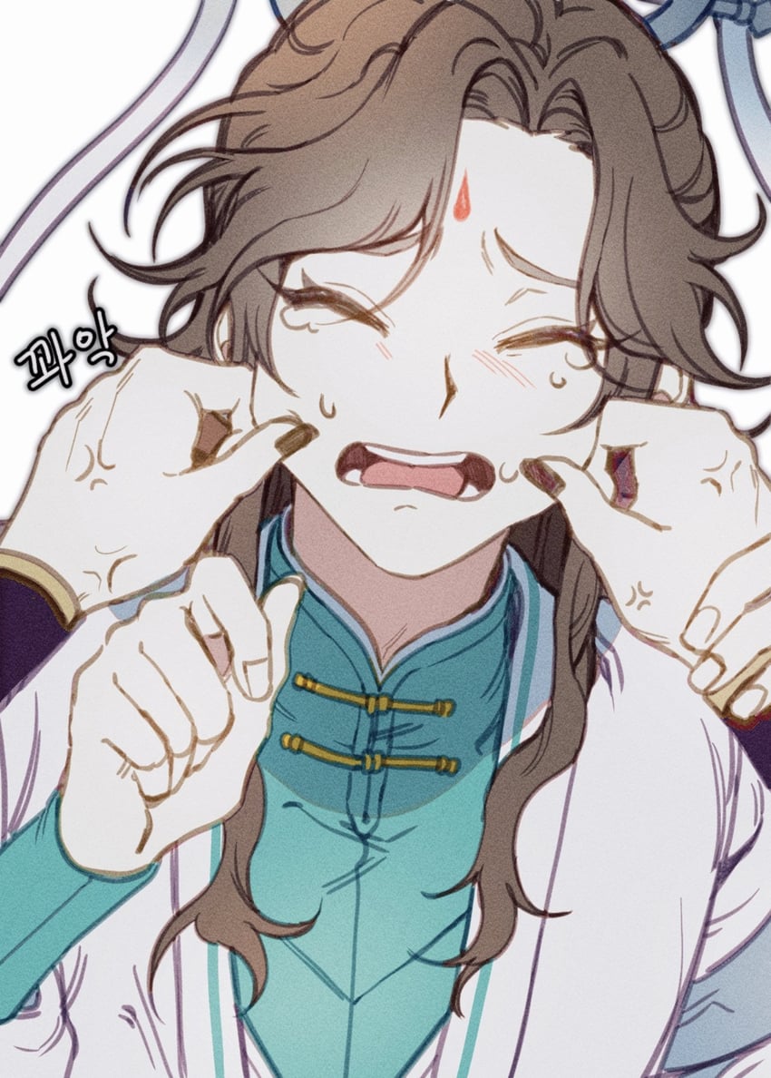 shi qingxuan and ming yi (tianguan cifu) drawn by bisu_(hw3op)