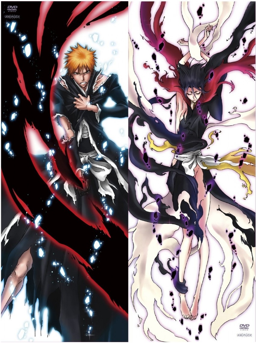 kuchiki rukia and kurosaki ichigo (bleach and 1 more)