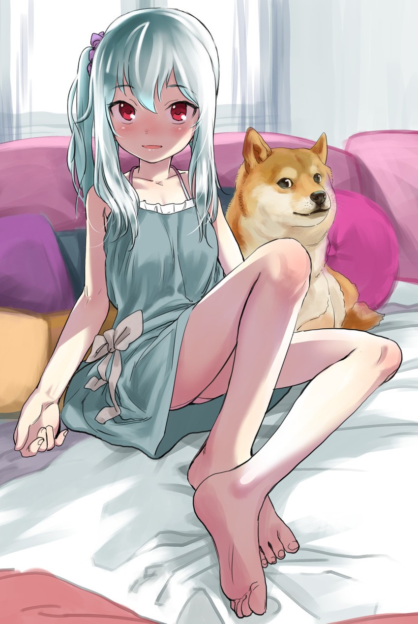 doge and kabosu (original and 1 more) drawn by haguhagu_(rinjuu_circus)