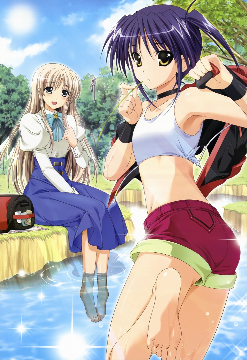 lily-strosek, isis egret, and steed (lyrical nanoha and 2 more) drawn by higa_yukari