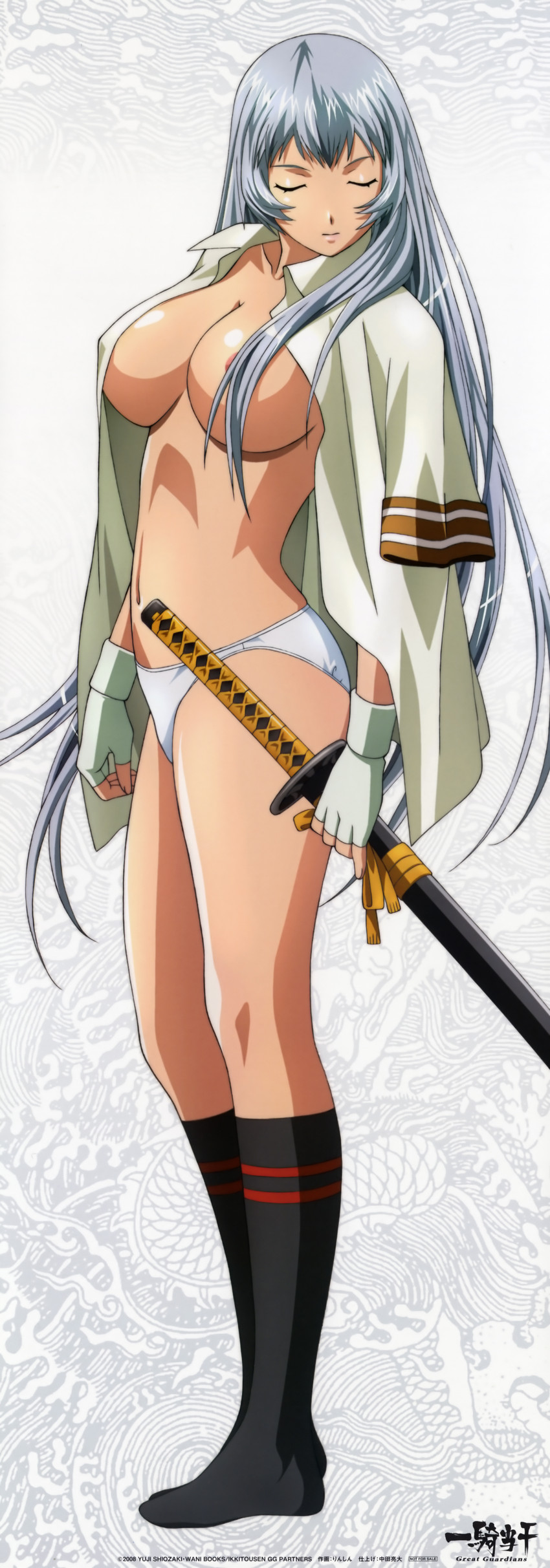 chouun shiryuu (ikkitousen and 1 more) drawn by rin-sin