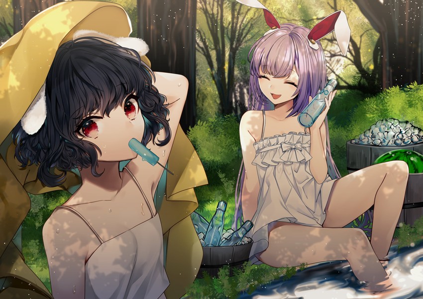 reisen udongein inaba and inaba tewi (touhou) drawn by daimaou_ruaeru