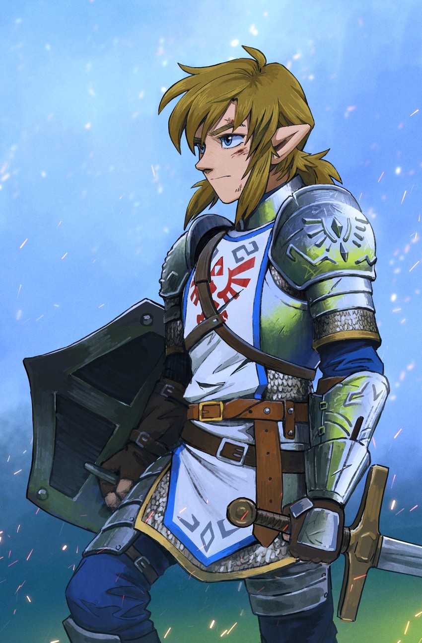 link (the legend of zelda and 1 more) drawn by malin_falch