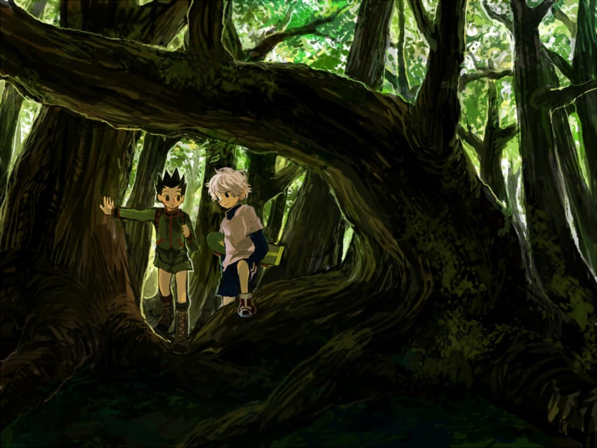 killua zoldyck and gon freecss (hunter x hunter) drawn by minahamu