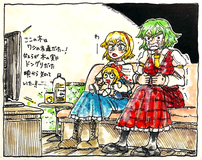alice margatroid and kazami yuuka (touhou) drawn by morisshii_(morishiey)