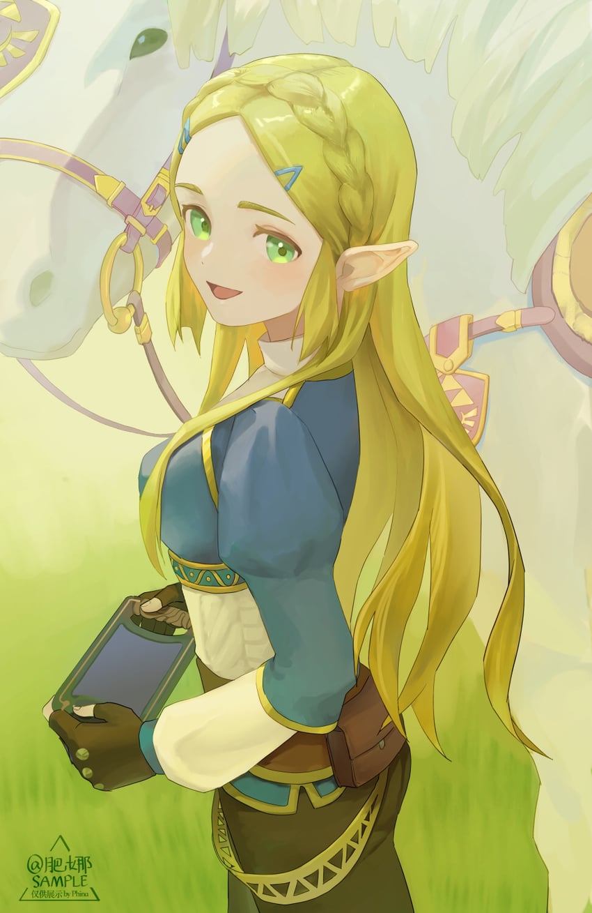 princess zelda (the legend of zelda and 1 more) drawn by phina_(jinahou)