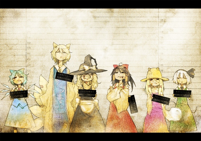 hakurei reimu, kirisame marisa, konpaku youmu, cirno, yakumo ran, and 2 more (touhou) drawn by tokomichi