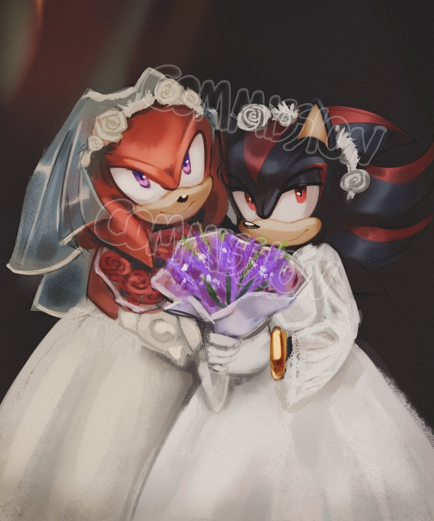 shadow the hedgehog and knuckles the echidna (sonic) drawn by maitroll