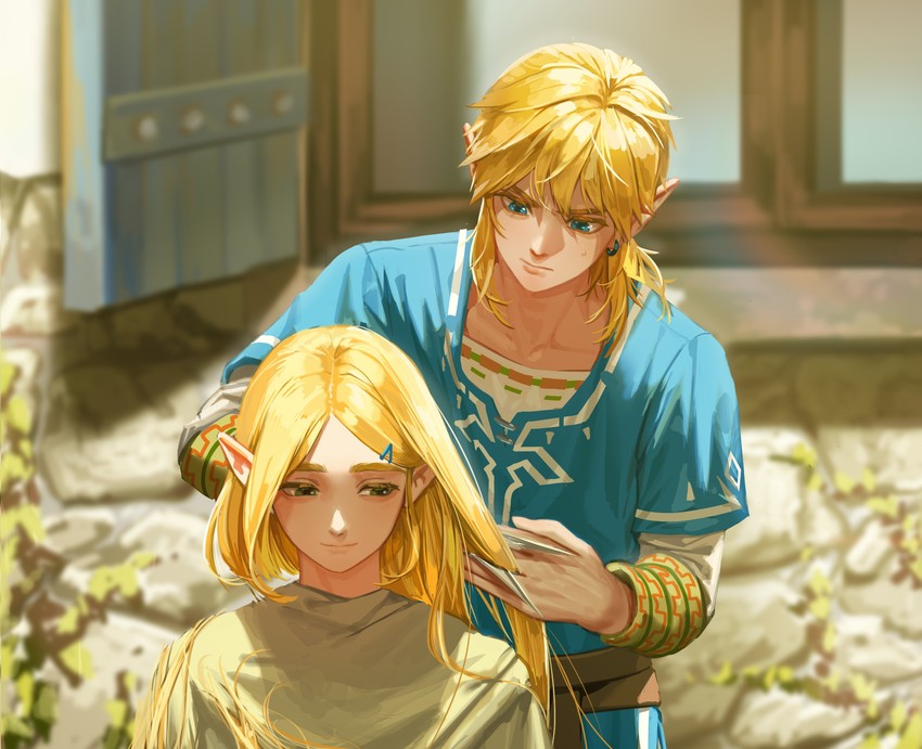 link and princess zelda (the legend of zelda and 2 more) drawn by tehwi