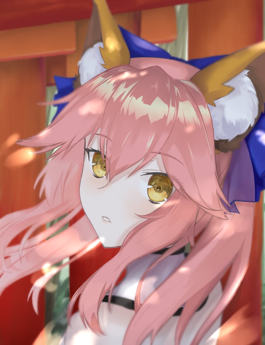 tamamo and tamamo no mae (fate and 1 more) drawn by minako_larima