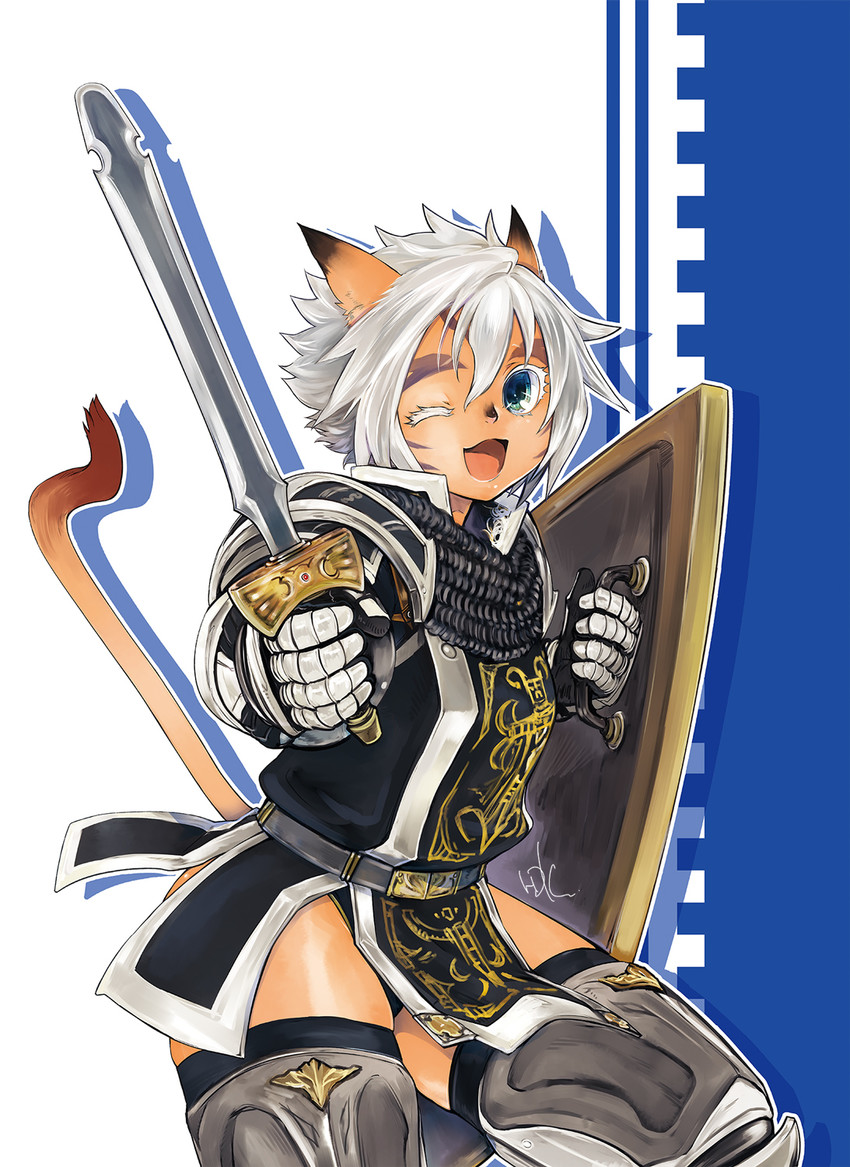 adventurer and paladin (final fantasy and 1 more) drawn by doraeshi