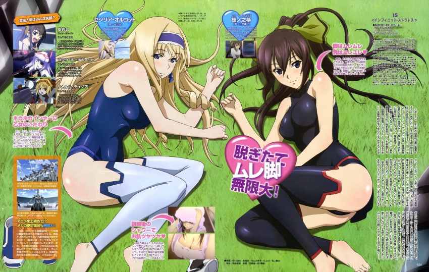 charlotte dunois, cecilia alcott, laura bodewig, shinonono houki, and huang lingyin (infinite stratos) drawn by matsukawa_tetsuya