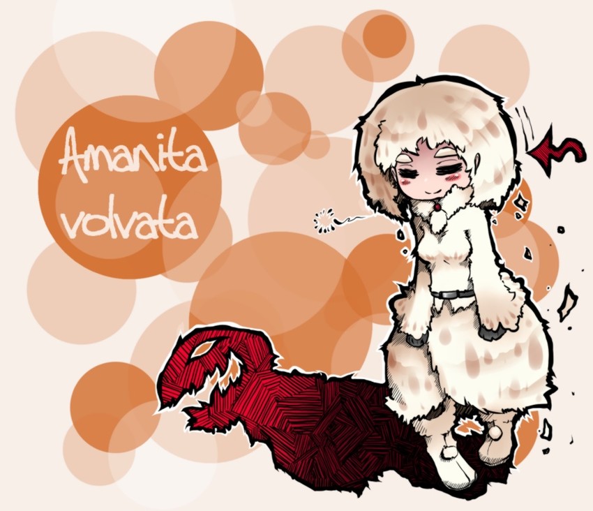 amanita volvata (oso-teki kinoko gijinka zukan) drawn by oso_(toolate)