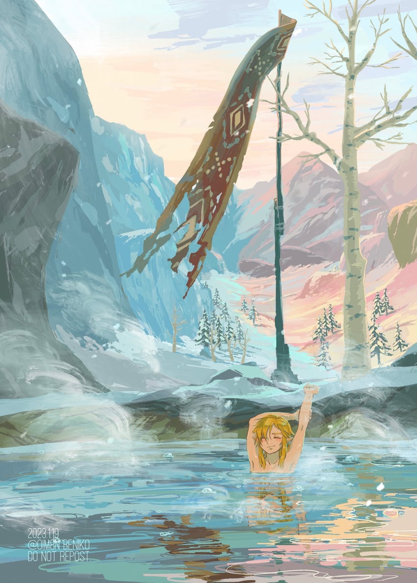 link (the legend of zelda and 1 more) drawn by oim8n