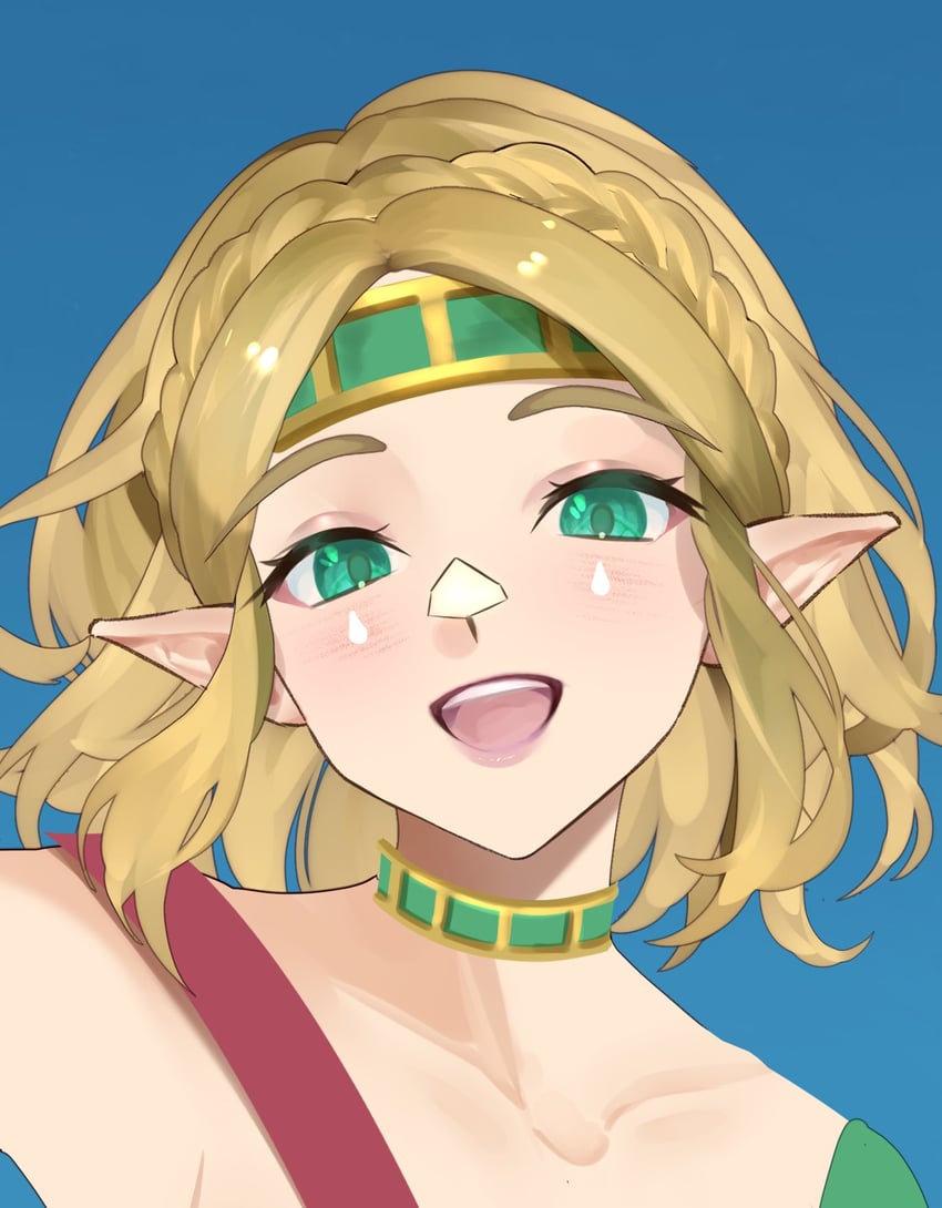 princess zelda (the legend of zelda and 1 more) drawn by meisaki