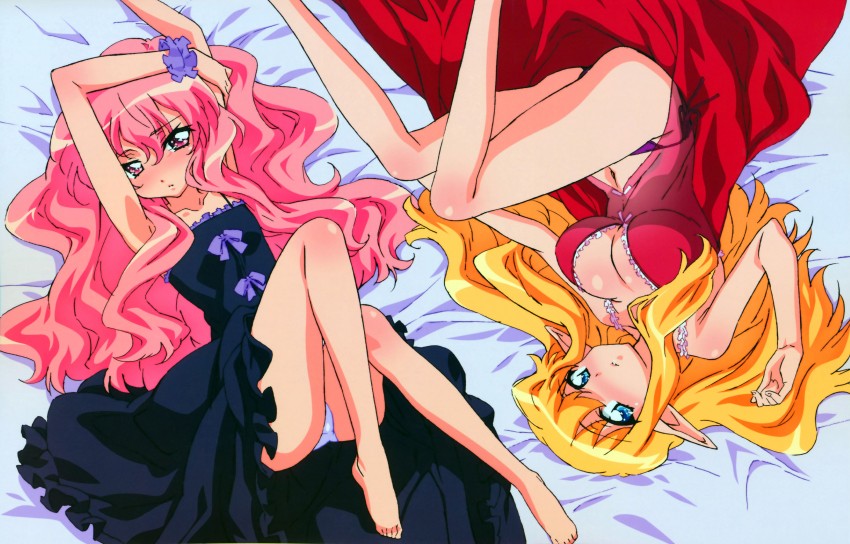 louise francoise le blanc de la valliere and tiffania westwood (zero no tsukaima)