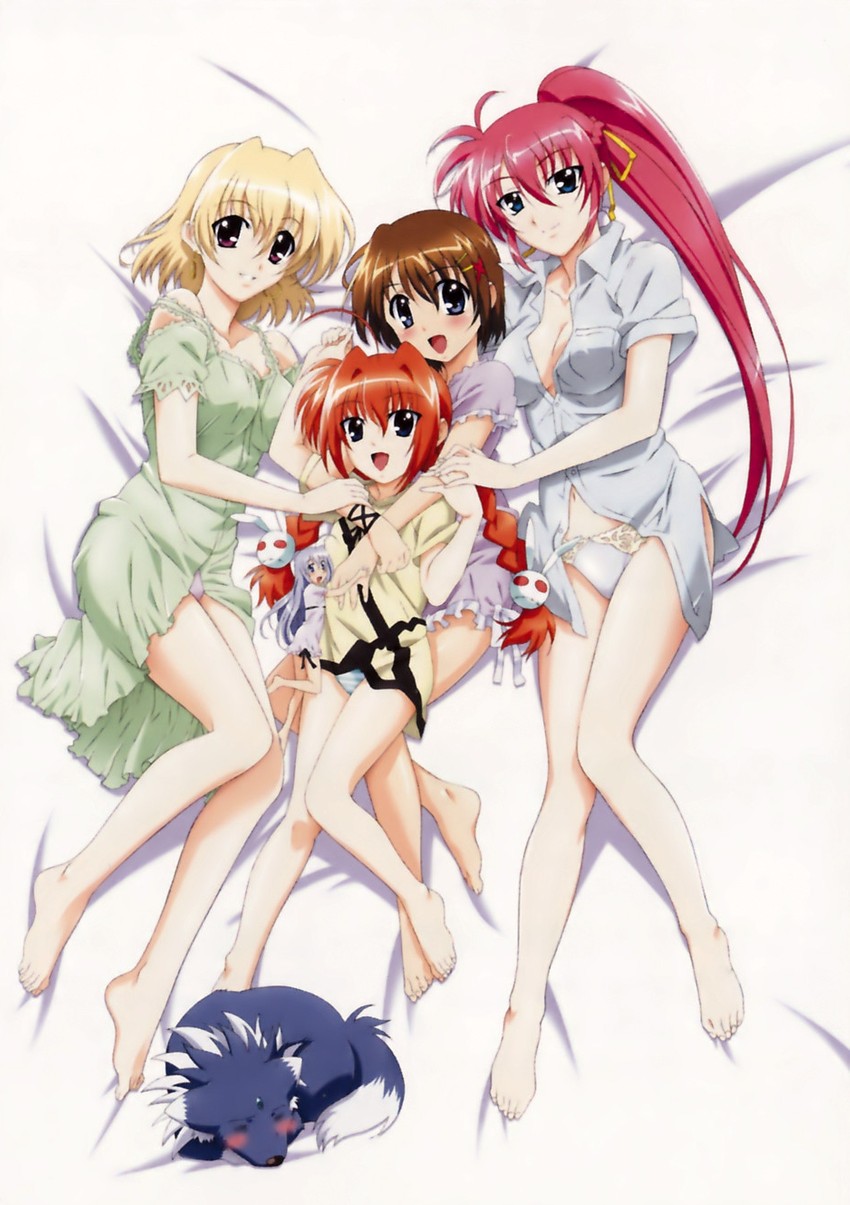 yagami hayate, vita, signum, reinforce zwei, shamal, and 1 more (lyrical nanoha and 2 more)