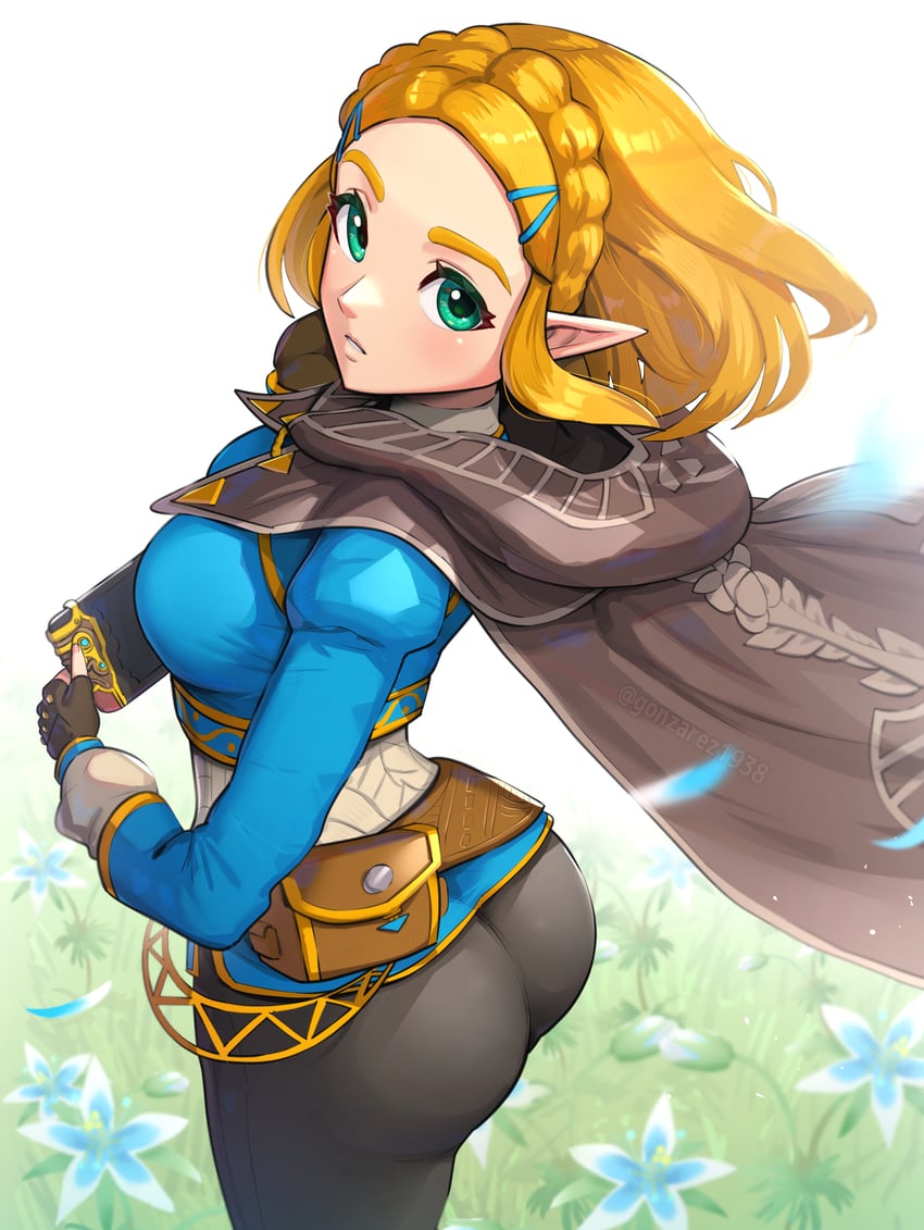 princess zelda (the legend of zelda and 1 more) drawn by gonzarez