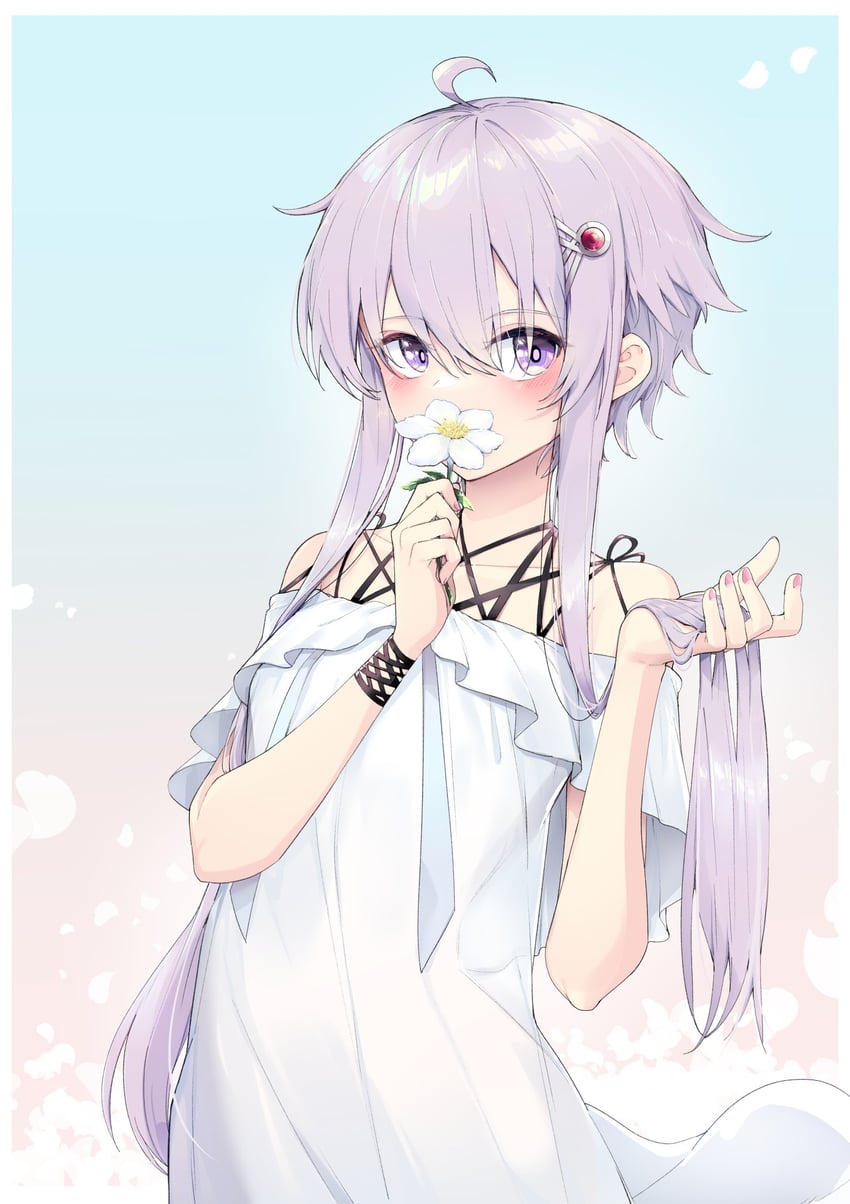 yuzuki yukari (vocaloid and 1 more) drawn by zooanime