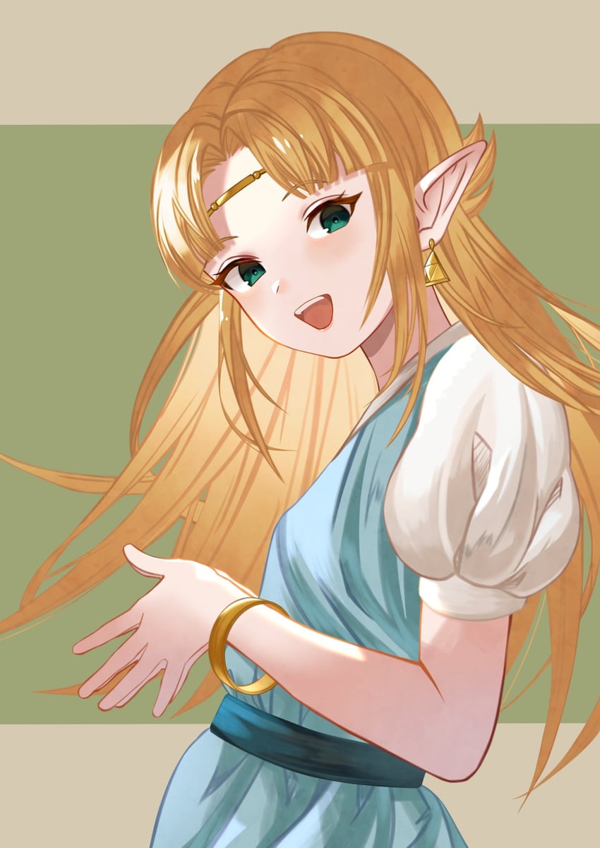 princess zelda (the legend of zelda and 1 more) drawn by bozu_ka