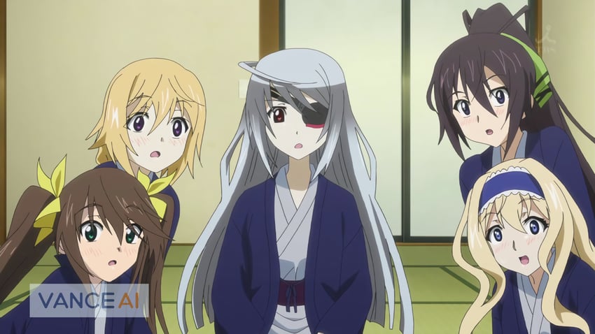 charlotte dunois, cecilia alcott, laura bodewig, shinonono houki, and huang lingyin (infinite stratos)