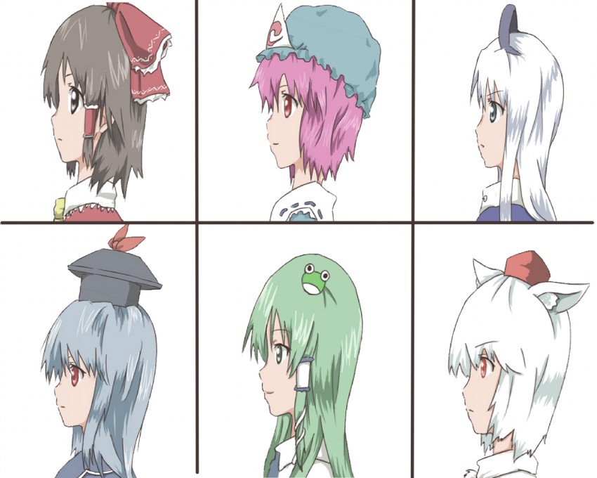 hakurei reimu, kochiya sanae, saigyouji yuyuko, inubashiri momiji, kamishirasawa keine, and 1 more (touhou) drawn by suimitsu_(shirotaki)