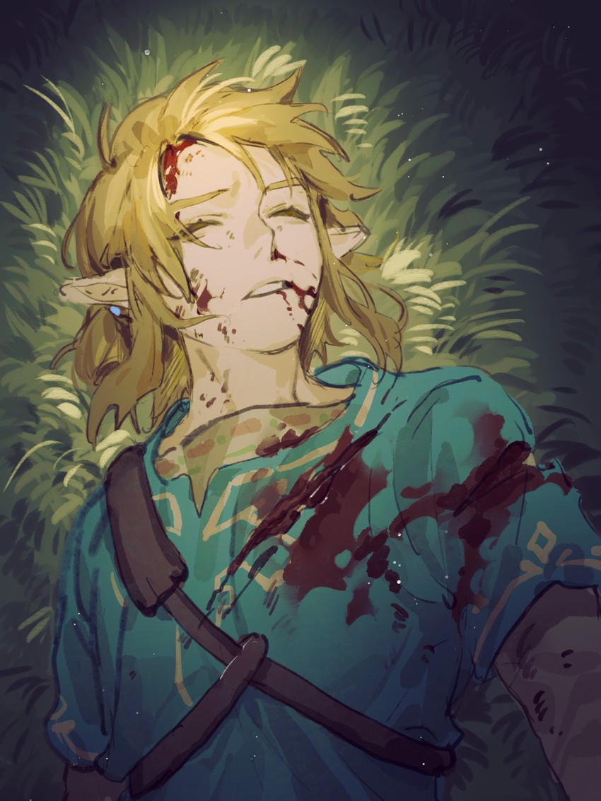 link (the legend of zelda and 1 more) drawn by sumooo_(ga_ilil)