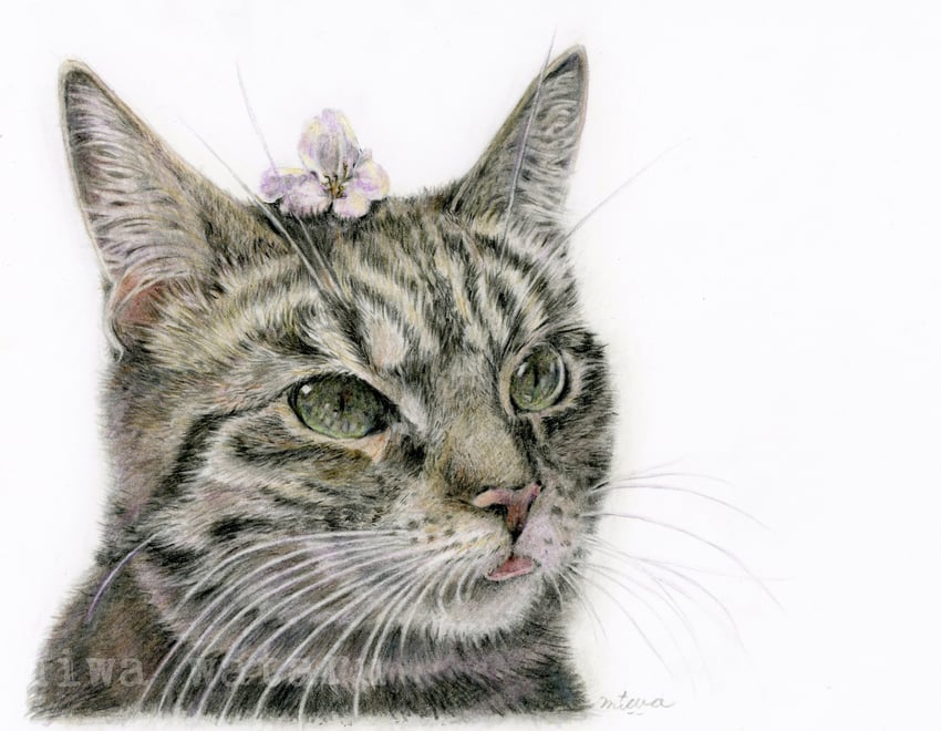 original drawn by miwa_kasumi_(catportrait)