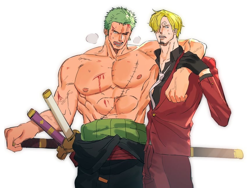 roronoa zoro and sanji (one piece) drawn by sweetdou3