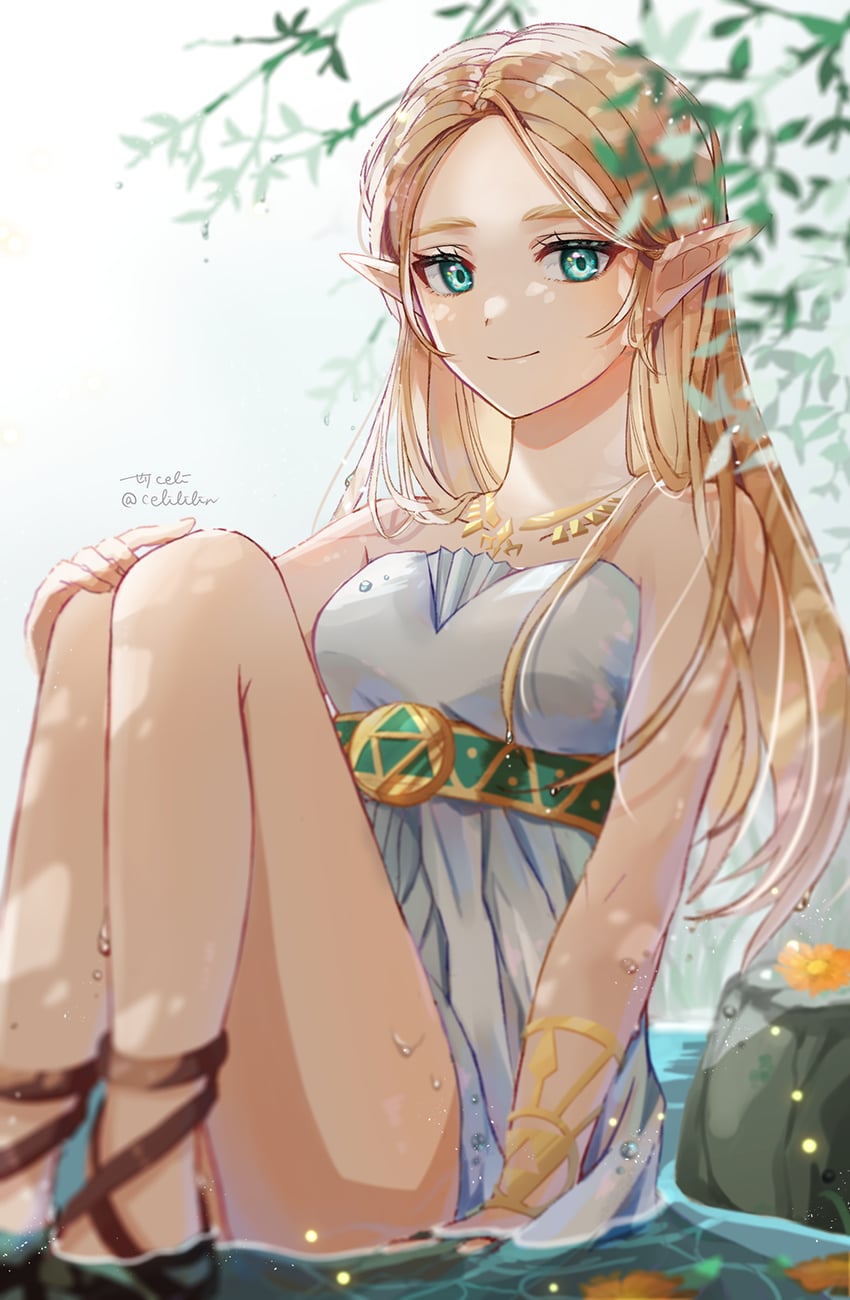 princess zelda (the legend of zelda and 1 more) drawn by seri_(yuukasakura)