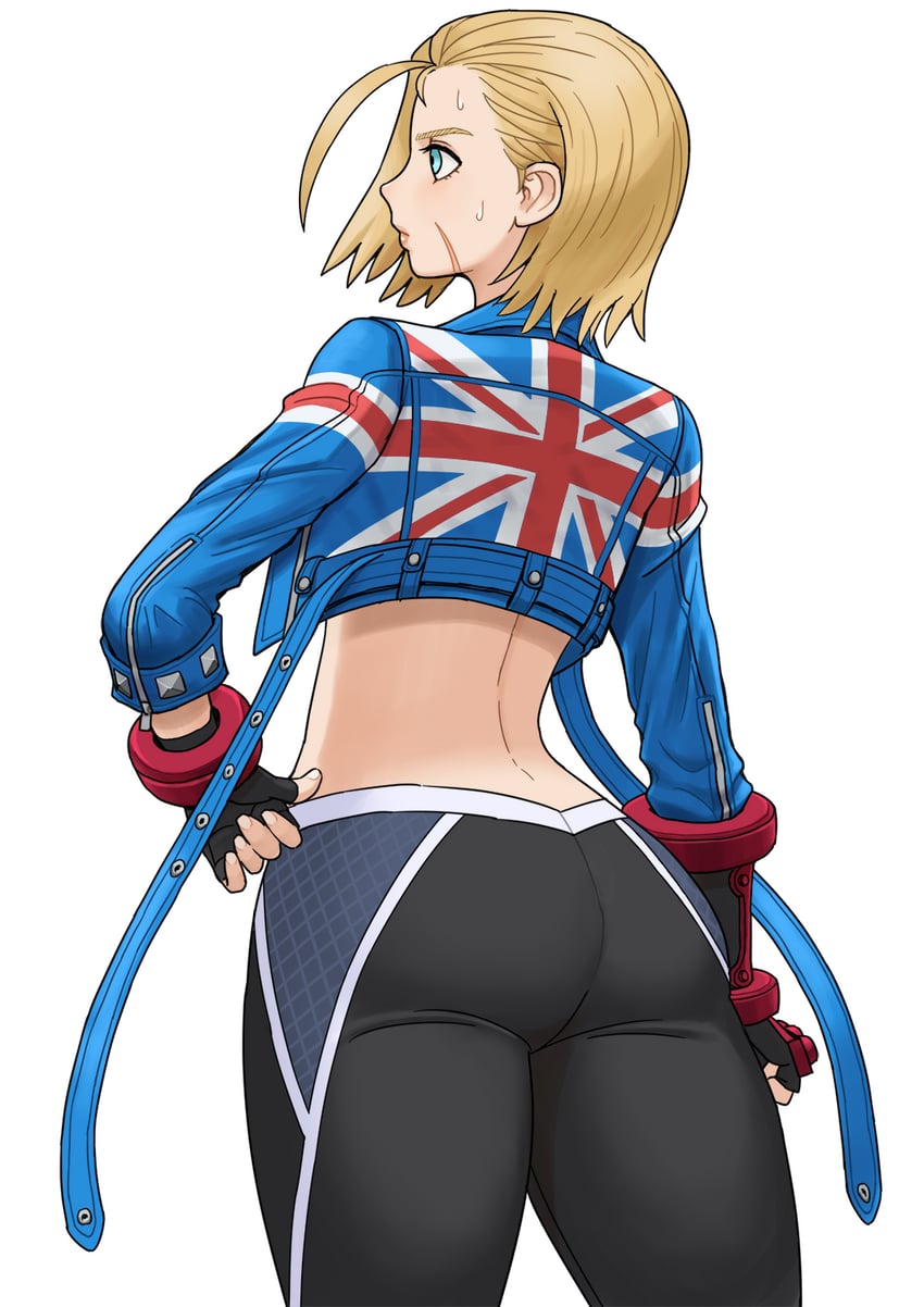 cammy white (street fighter and 1 more) drawn by shigenobu