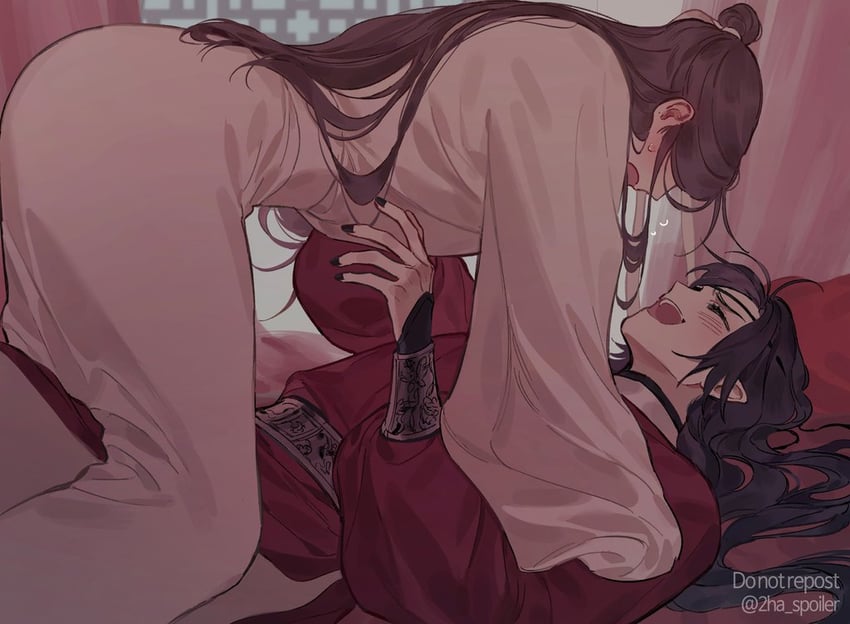 xie lian and hua cheng (tianguan cifu) drawn by galbae