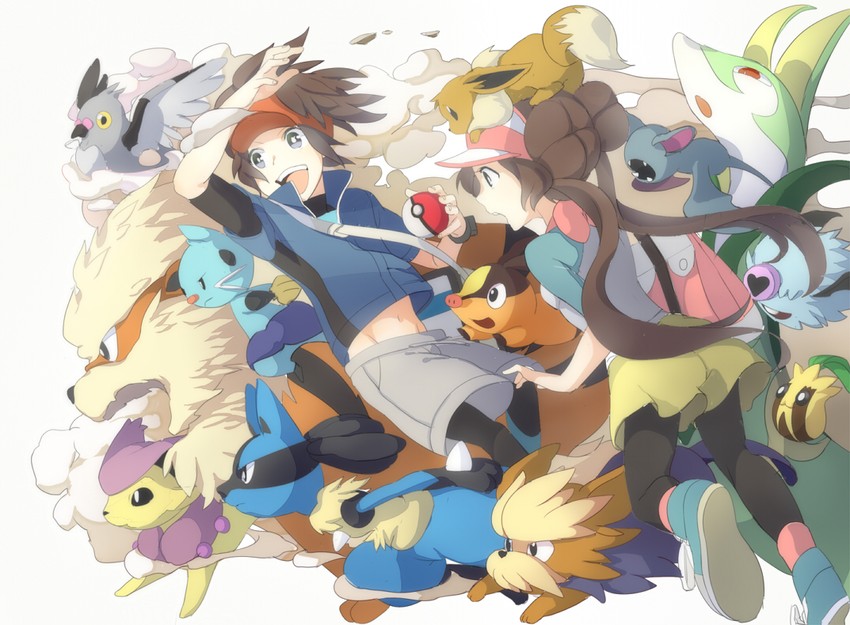rosa, eevee, lucario, tepig, nate, and 9 more (pokemon and 1 more) drawn by danchi_(pomechize)