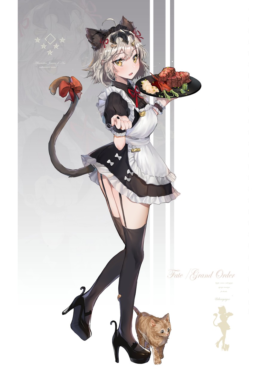 jeanne d'arc alter (fate and 1 more) drawn by danyagoe
