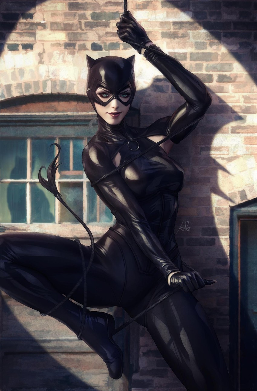 catwoman and selina kyle (dc comics and 2 more) drawn by stanley_lau