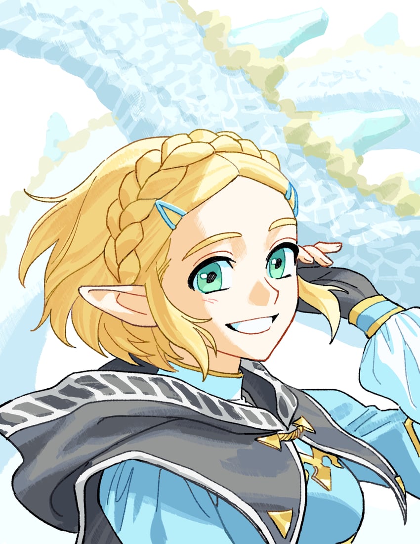 princess zelda (the legend of zelda and 1 more) drawn by nagsu_(narksuhaza)